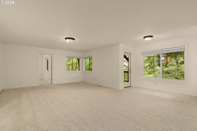 carpeted empty room with plenty of natural light