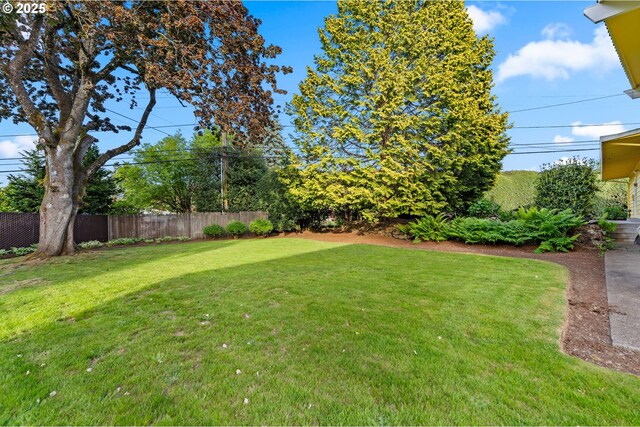 view of yard