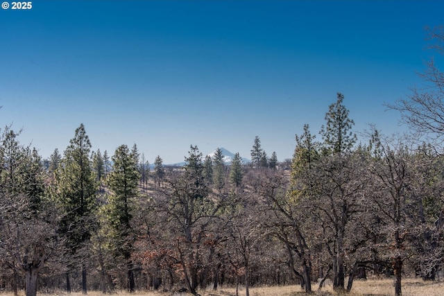 view of landscape