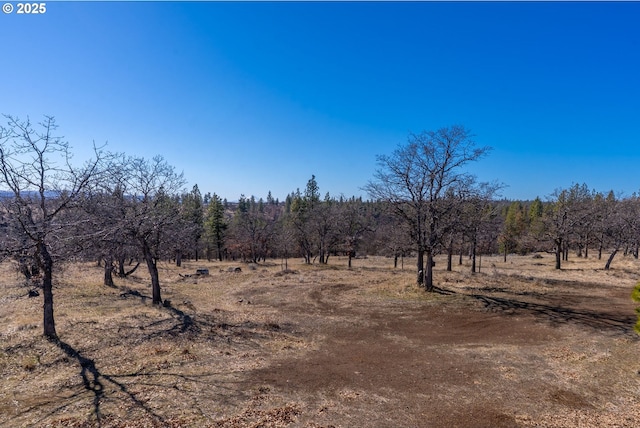 view of local wilderness with a rural view