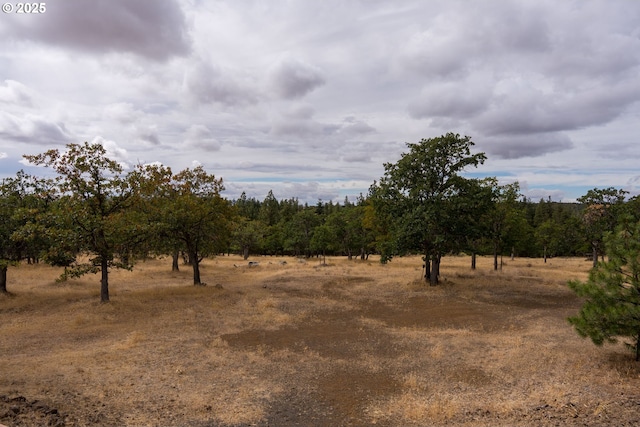 view of landscape with a rural view