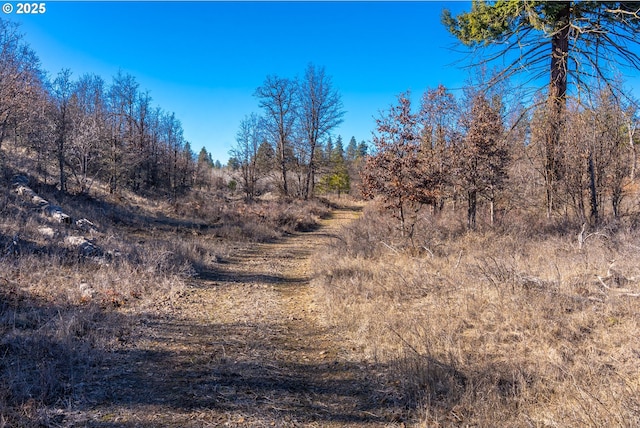 76 Big Springs Rd, Goldendale, WA 98620 - view of local wilderness