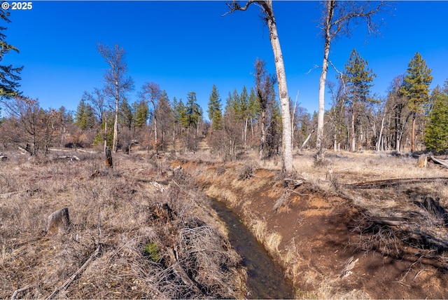 76 Big Springs Rd, Goldendale, WA 98620 - view of local wilderness