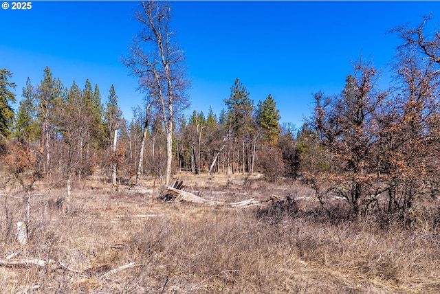 view of local wilderness