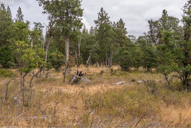 view of local wilderness