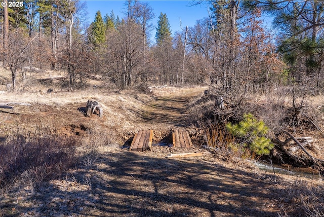 76 Big Springs Rd, Goldendale, WA 98620 - view of yard