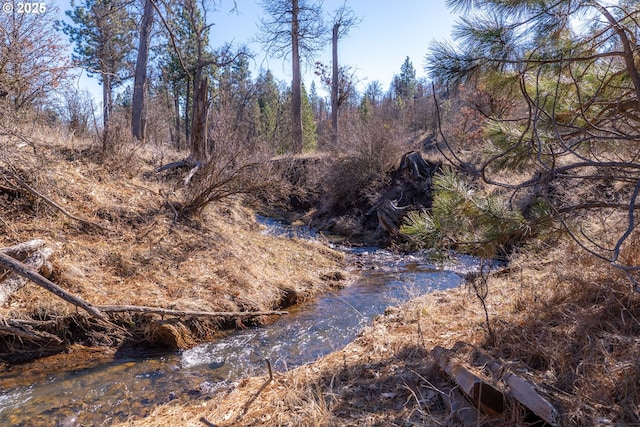 76 Big Springs Rd, Goldendale, WA 98620 - view of nature