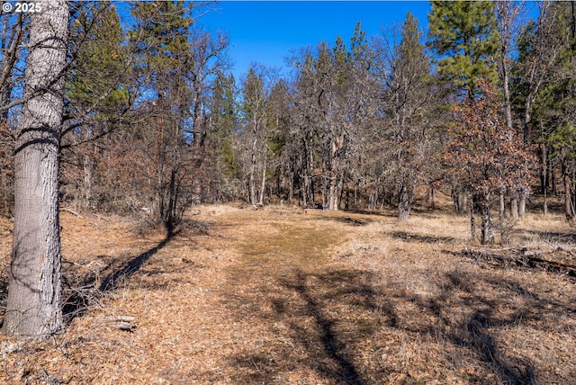 76 Big Springs Rd, Goldendale, WA 98620 - view of nature