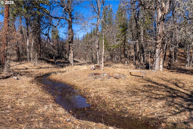 view of nature featuring a wooded view