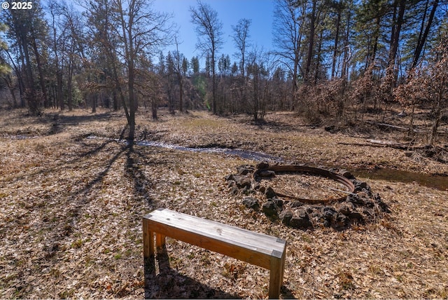 76 Big Springs Rd, Goldendale, WA 98620 - view of yard