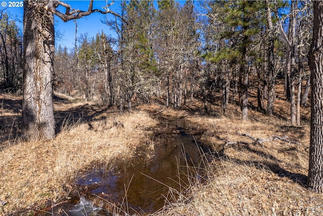 view of local wilderness featuring a forest view