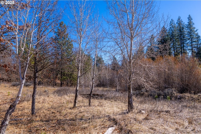 view of landscape