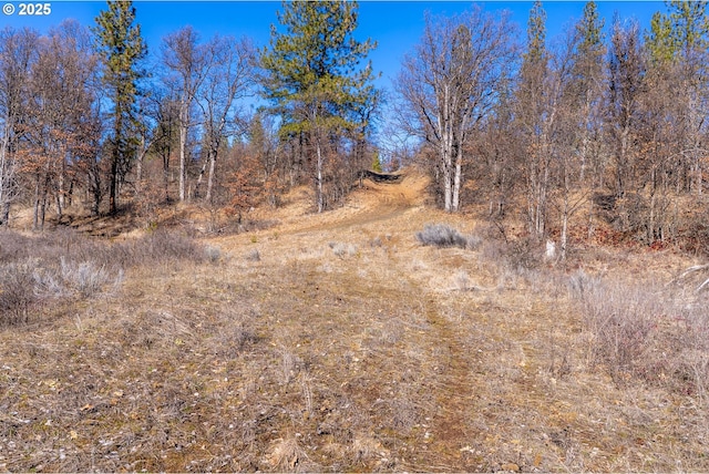 view of landscape