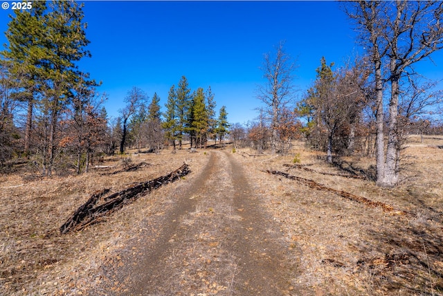 76 Big Springs Rd, Goldendale, WA 98620 - view of street