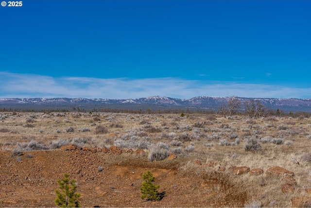 76 Big Springs Rd, Goldendale, WA 98620 - mountain view