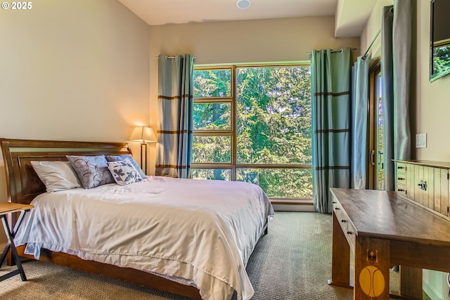 17907 SW Cicero Ct, Beaverton, OR 97007 - view of carpeted bedroom