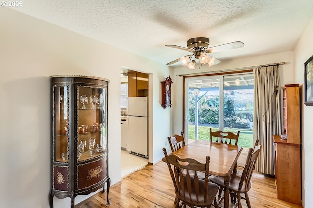 dining room with ceiling fan, a textured ceiling, and light hardwood / wood-style floors