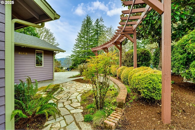 view of yard with a patio