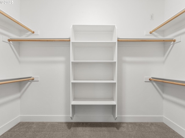 spacious closet featuring carpet flooring