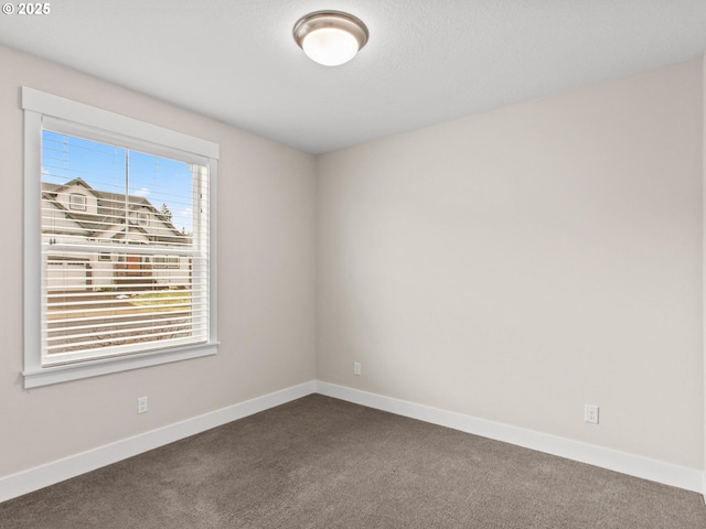 spare room featuring carpet