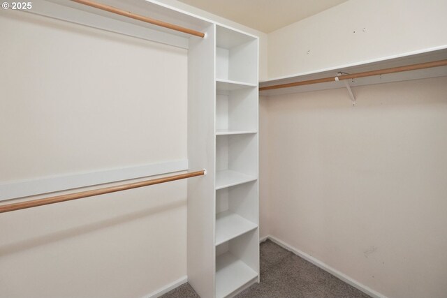 spacious closet with carpet floors