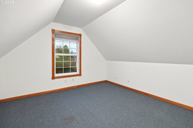additional living space featuring lofted ceiling, carpet, and baseboards