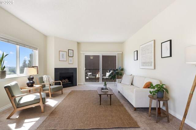 living area featuring carpet floors, a fireplace, and baseboards