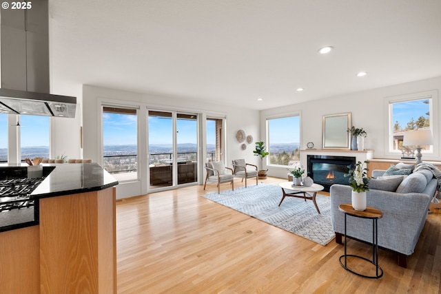 living room with light hardwood / wood-style flooring