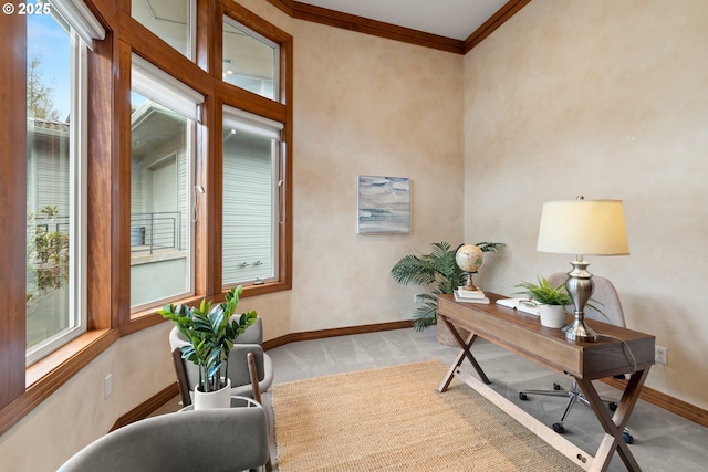 office featuring crown molding and carpet flooring