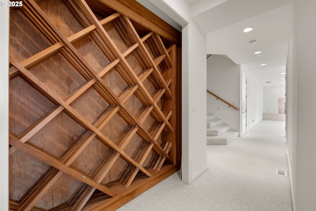 wine cellar featuring carpet