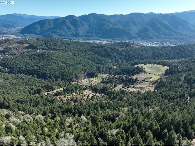 77220 Bar B L Ranch Rd, Westfir, OR 97492 - view of mountain background with a heavily wooded area