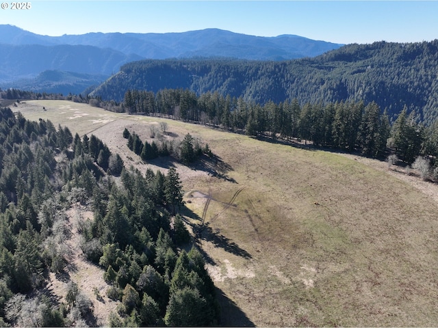 77220 Bar B L Ranch Rd, Westfir, OR 97492 - mountain view with a forest