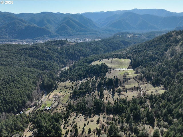 77220 Bar B L Ranch Rd, Westfir, OR 97492 - mountain view with a forest
