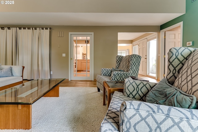 living area with light wood finished floors