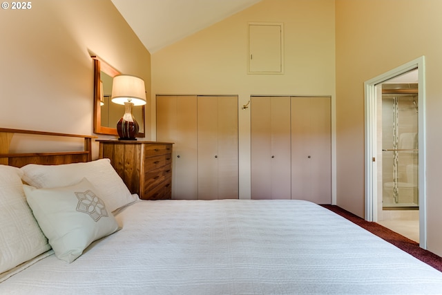 bedroom featuring high vaulted ceiling, multiple closets, and ensuite bathroom