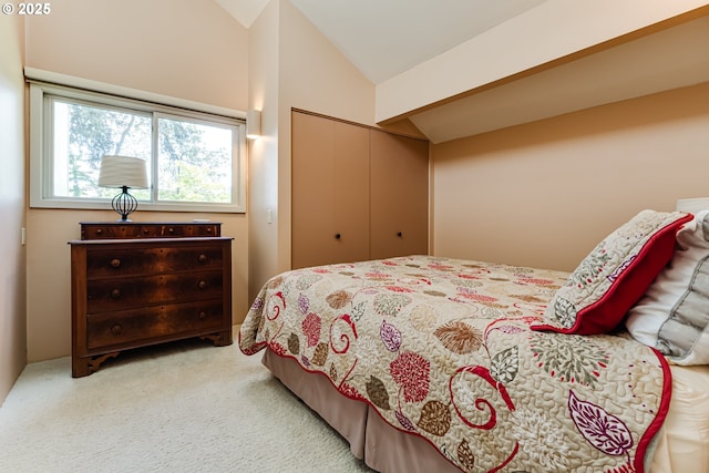 bedroom with vaulted ceiling, carpet, and a closet