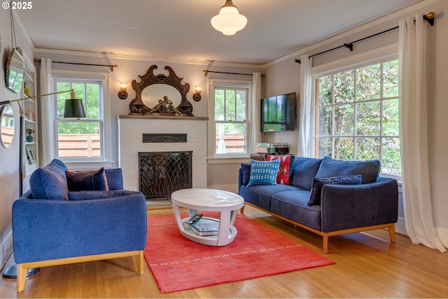 living area with wood finished floors, ornamental molding, and a fireplace
