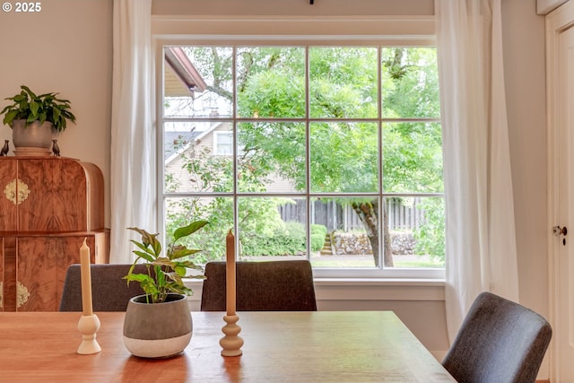 dining room featuring healthy amount of natural light
