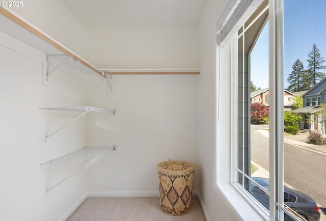walk in closet featuring carpet flooring