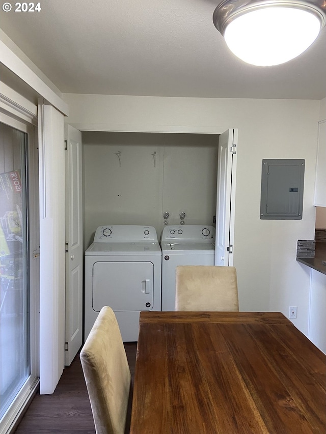 laundry room featuring dark wood-type flooring, electric panel, and washing machine and dryer