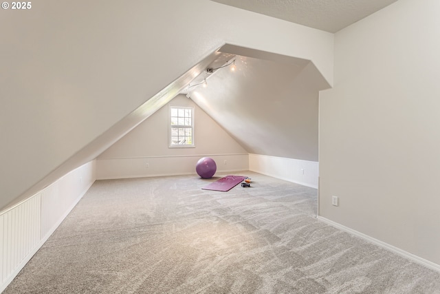 additional living space with lofted ceiling, baseboards, and carpet floors