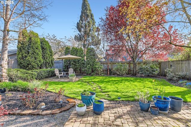 view of yard with a patio area and a fenced backyard