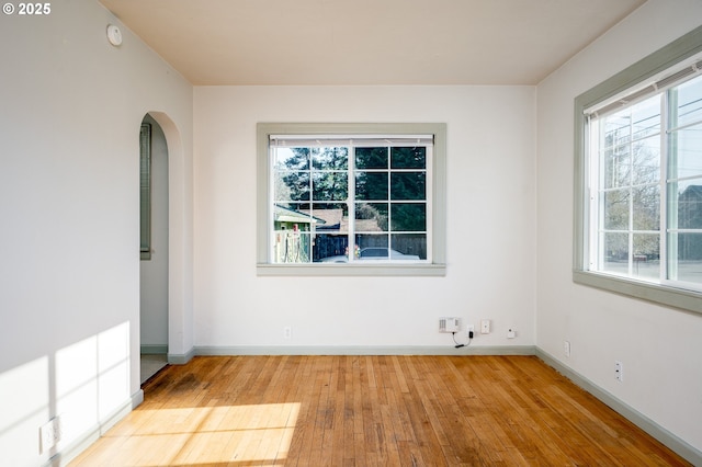 unfurnished room featuring a wealth of natural light and light wood-type flooring