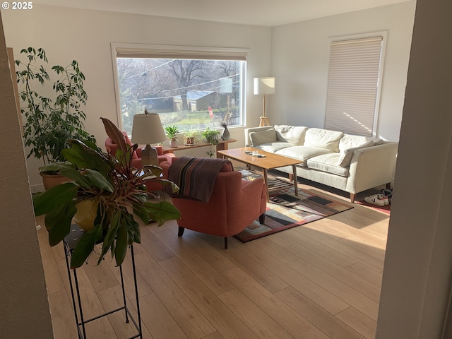 living room featuring wood finished floors