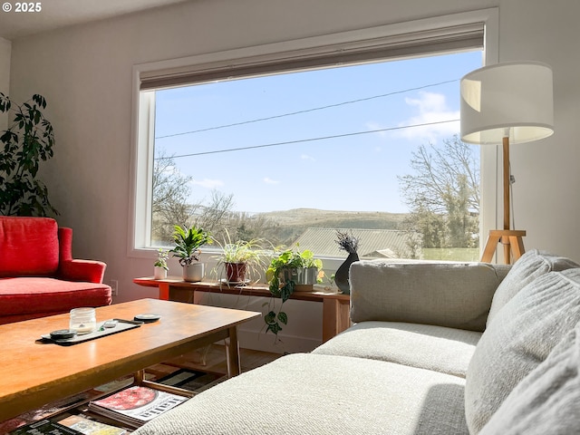 living area featuring plenty of natural light