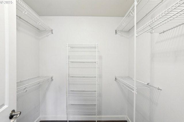 view of walk in closet