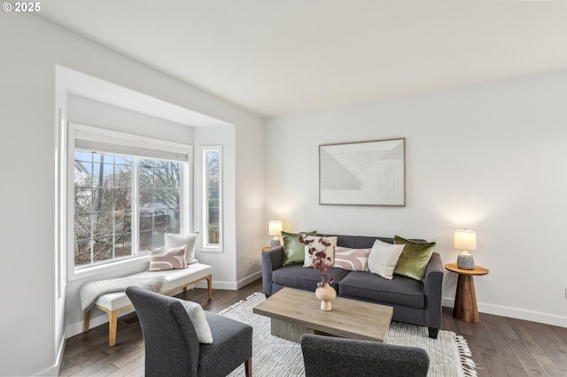 living room with hardwood / wood-style flooring