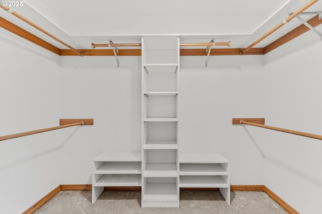 4311 NW 419th St, Woodland, WA 98674 - spacious closet featuring carpet floors