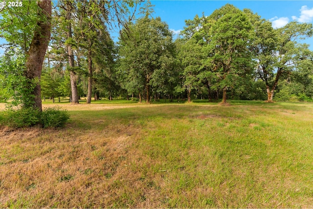 4311 NW 419th St, Woodland, WA 98674 - view of grassy yard