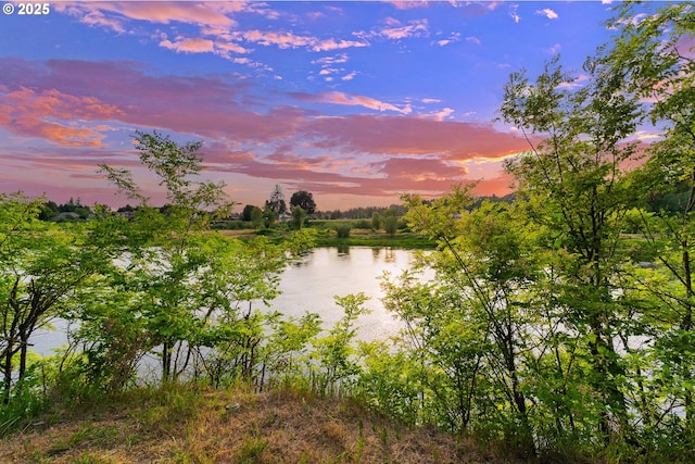 4311 NW 419th St, Woodland, WA 98674 - water view